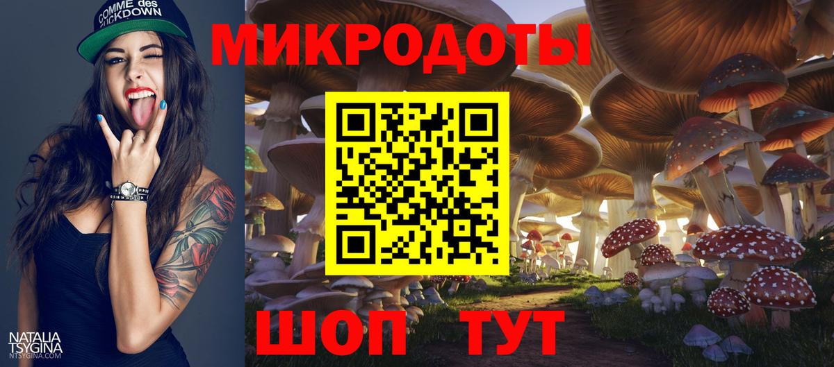 Пушкино  Псилоцибиновые грибы прущие грибы  Вход с VPN  Галлюциногенные грибы GOLDEN TEACHER 
