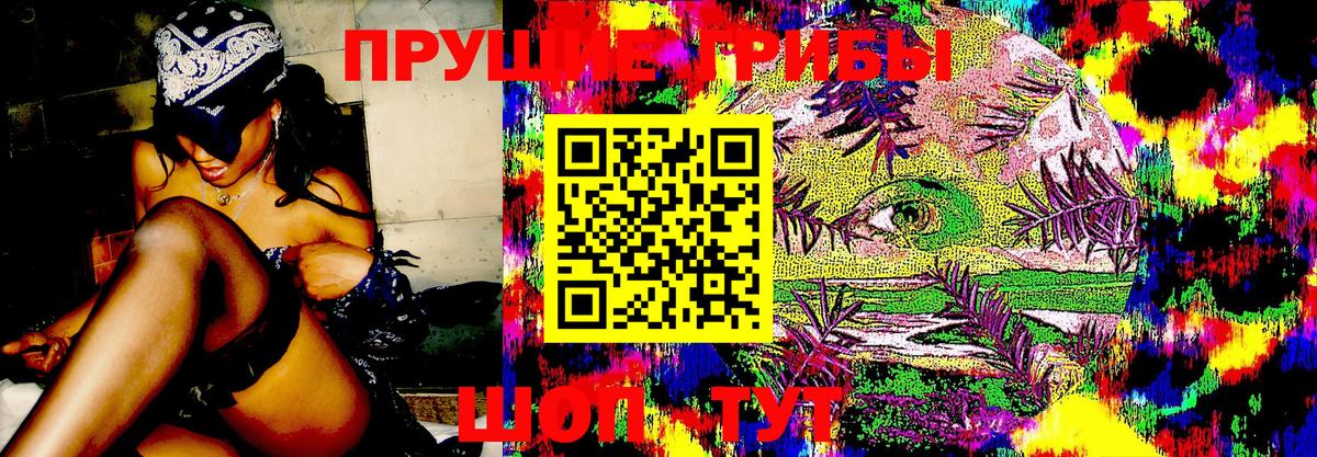 Галлюциногенные грибы MAGIC MUSHROOMS Пушкино